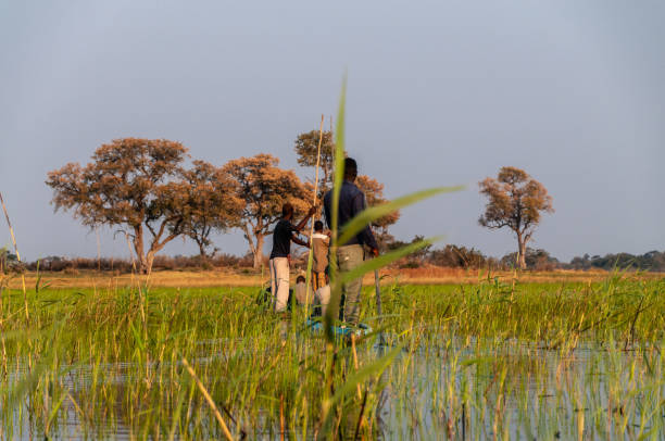 BUILDING EXPETISE PHOTO